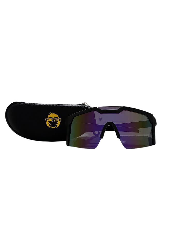 Purple/Gold Safety Glasses